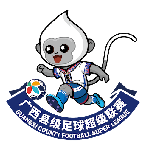 广西县级足球超级联赛桂林市灵川县队0-1柳州市柳南区队20260207