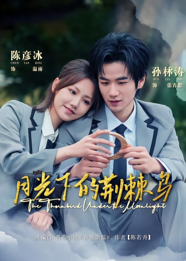 月光下的荆棘鸟